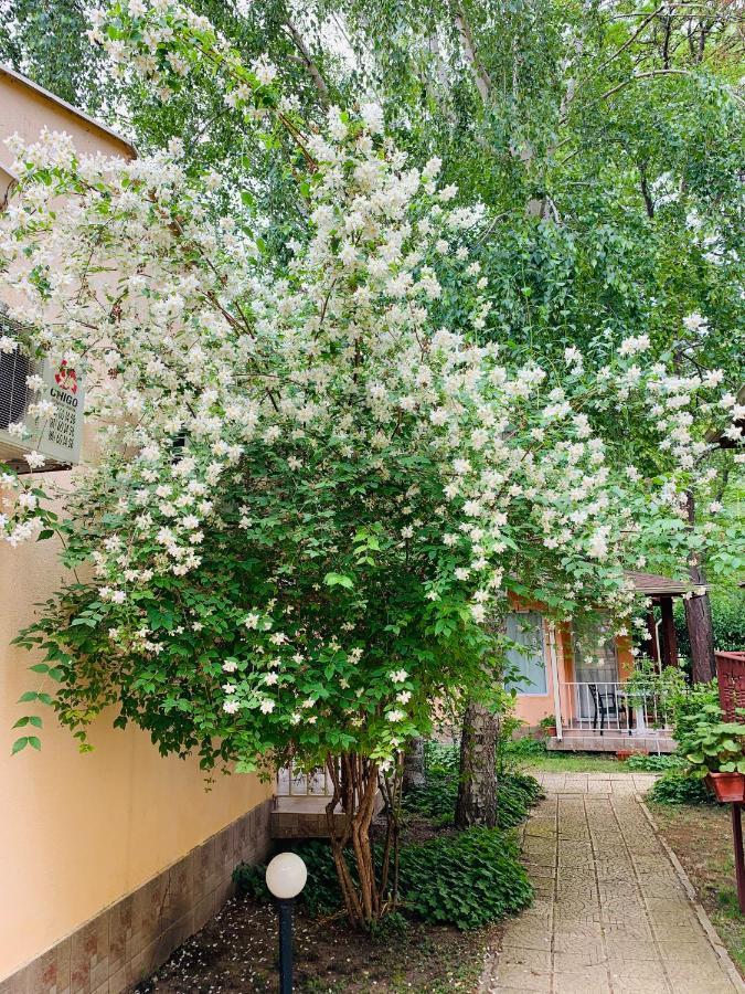 Holiday Village Interpark Кранево Екстер'єр фото